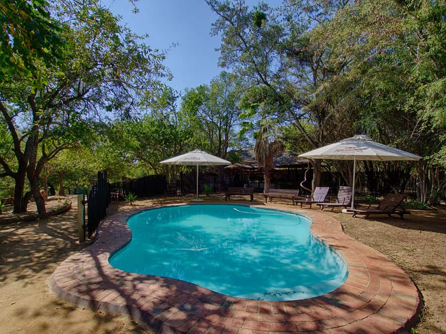 From Johannesburg: 3-Day Budget Tent Kruger Park Safari - Who Should Book This Safari?