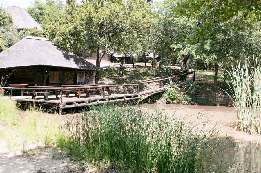 From Johannesburg: 3-Day Budget Tent Kruger Park Safari - Should You Book the 3-Day Kruger Safari?