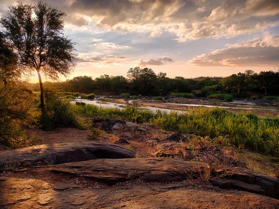 From Johannesburg: 3-Day Budget Tent Kruger Park Safari - A Full Day Around Orpen in Kruger