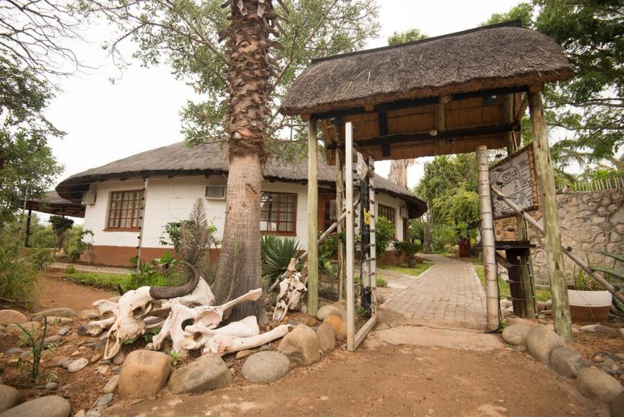 From Johannesburg: 6-Day Classic Kruger National Park Safari - Who should book this safari?