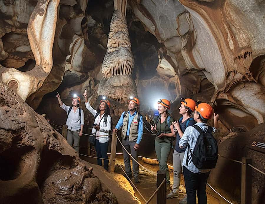 From Johannesburg: Cradle of Humankind and Lion Safari - Key points at a glance