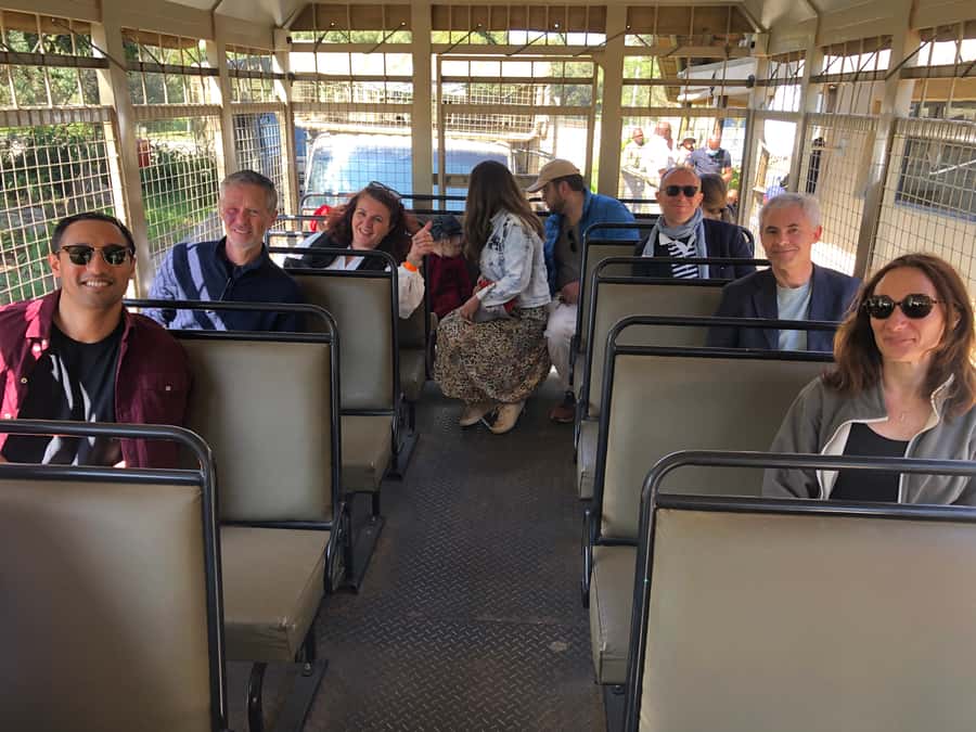 From Johannesburg: Cradle of Humankind and Lion Safari - Maropeng, where evolution becomes easier to follow