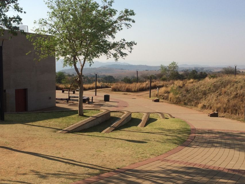 From Johannesburg: Cradle of Humankind and Lion Safari - What the nine-hour schedule feels like
