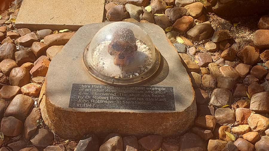 From Johannesburg: Cradle of Humankind Private Half-Day Tour - Entering the Newly Reopened Sterkfontein Caves