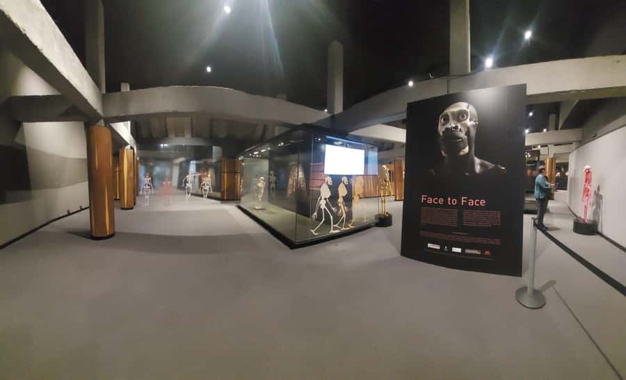 From Johannesburg: Cradle of Humankind Private Half-Day Tour - How the Five-Hour Schedule Works