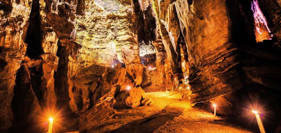 From Johannesburg: Cradle of Humankind Tour - Prepare for a steep climb in and out