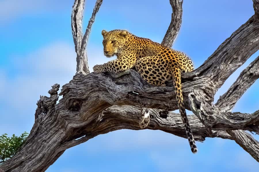 From Johannesburg: Kruger National Park 3-Day Safari - The road from Johannesburg through Elands Valley