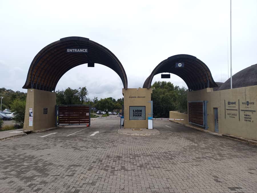 From Johannesburg: Lesedi Cultural Village & Lion Park Tour - Two very different South African experiences in one day