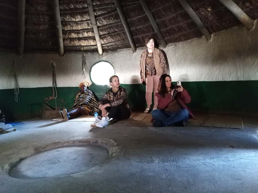 From Johannesburg: Lesedi Cultural Village & Lion Park Tour - Lesedi Cultural Village: a guided introduction to living traditions