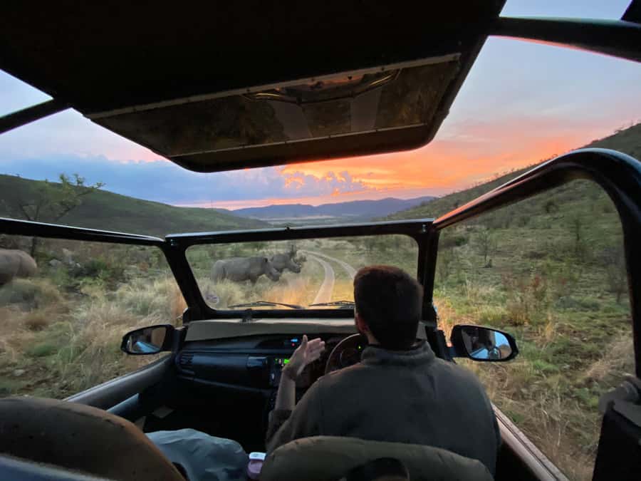 From Johannesburg: Pilanesberg Nature Reserve Game Safari - Entering the reserve and starting the first drive