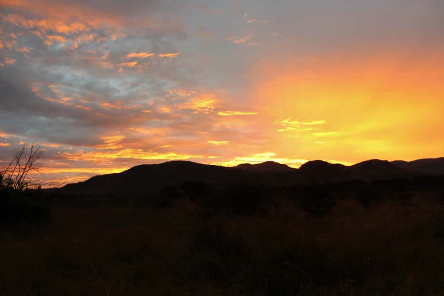 From Johannesburg: Pilanesberg Nature Reserve Game Safari - Price, fees, and overall value