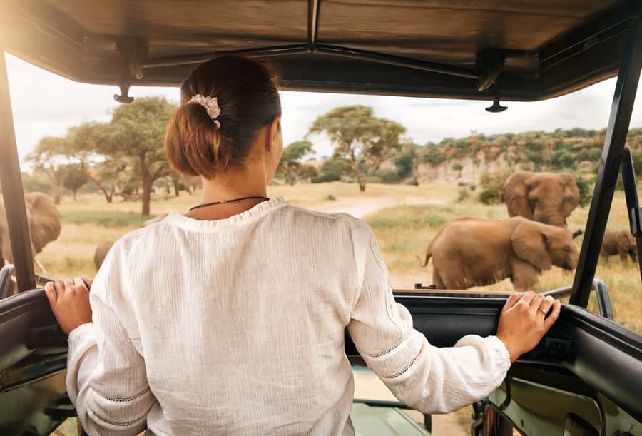 From Johannesburg: Pilanesberg Wildlife Safari - Who should book this safari?