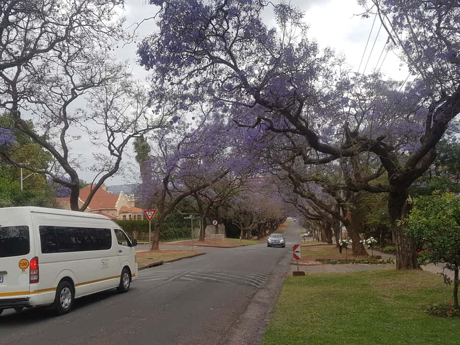 From Johannesburg: Pretoria Half Day Tour - The Voortrekker Monument is the big appointment