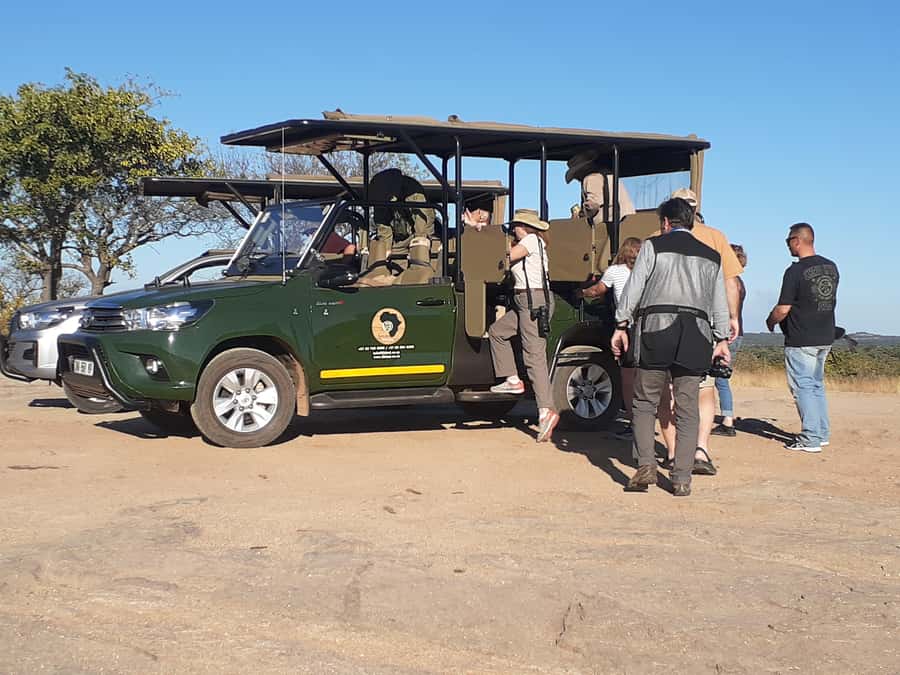 From Malelane: Half Day Kruger Park Wildlife Safari - Key points to know before booking