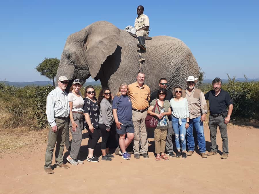 From Malelane: Half Day Kruger Park Wildlife Safari - The open vehicle and why it suits photographers