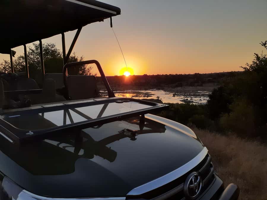 From Malelane: Half Day Kruger Park Wildlife Safari - What Sibusiso adds from the front seat