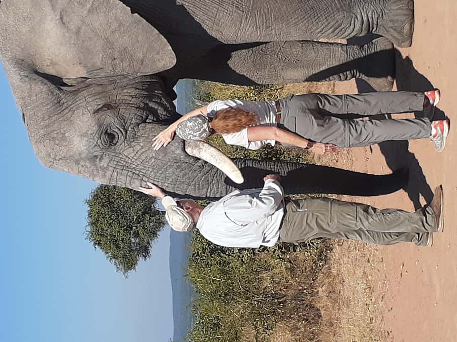 From Malelane: Kruger National Park Full-Day Safari - Following sightings toward a second camp