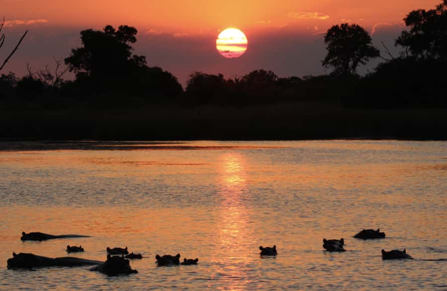 From Marloth Park: Sunset River Cruise Safari - Watching for hippos and crocodiles