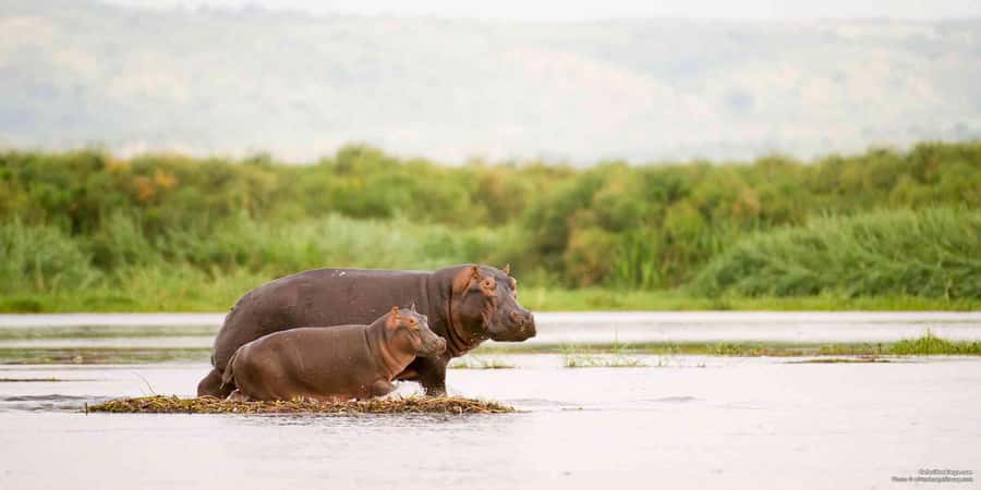 From Marloth Park: Sunset River Cruise Safari - Setting off on the Komati and Crocodile Rivers