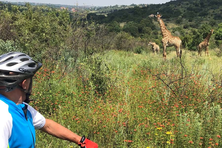 From Pretoria: E-Bike in the wild with game near Jo'burg - Practical Details Before You Book