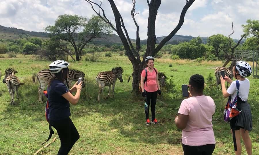 From Pretoria: E-Bike in the wild with game near Jo'burg - Tea and Traditional Treats After the Cycling