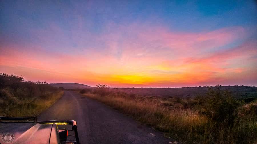 From St Lucia: iSimangaliso Sunset Safari - What the Jeep ride is really like