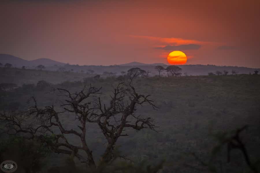 From St Lucia: iSimangaliso Sunset Safari - Should you book the iSimangaliso Sunset Safari?