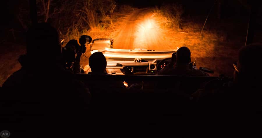 From St Lucia: iSimangaliso Wetland Park Night Drive Safari - Why darkness changes iSimangaliso