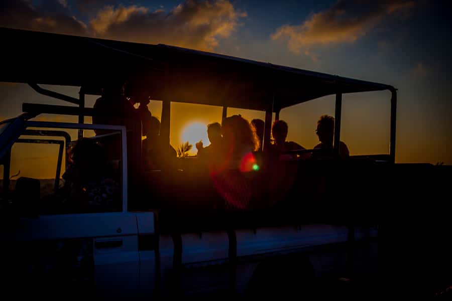 From St Lucia: iSimangaliso Wetland Park Night Drive Safari - Hippos, crocodiles, and night-active birds