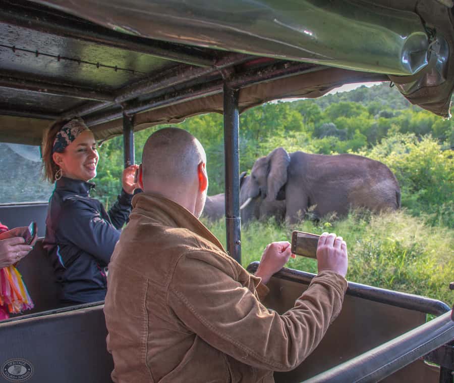From St Lucia: iSimangaliso Wetland Park Night Drive Safari - Weather, clothing, and realistic expectations