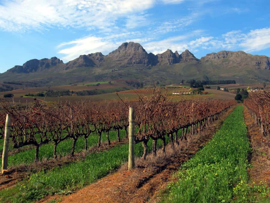 From Stellenbosch: Hop-On Hop-Off Wine Tour Southern Route - Why the Southern Route works so well for a self-guided wine day