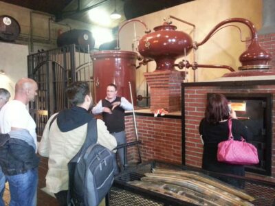Hop-On Hop-Off Wine Tour Southern Route