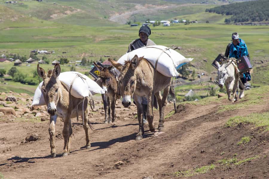From Underberg: Extended Lesotho Day Tour - 9.5hrs - Lunch at the Highest Pub in Africa