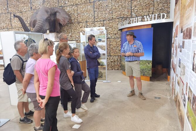 Full-Day Addo Elephant Park & Giraffe Walk - The afternoon giraffe walk at Addo Afrique