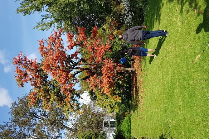 Full Day Afrivista Wine Tours from Stellenbosch - A full day among Stellenbosch wine farms