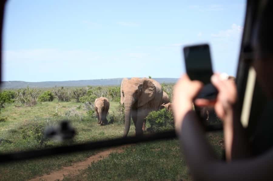 Full-Day All Inclusive Safari with Traditional Braai Lunch - Key points to know