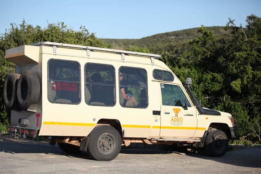 Full-Day All Inclusive Safari with Traditional Braai Lunch - The morning drive: antelope, zebra, and the first big sightings
