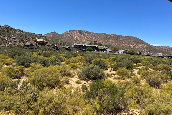 Full day Aquila Game Reserve Big 5 Safari with Wine Tasting Tour - Fairview brings wine, cheese, and a slower finish