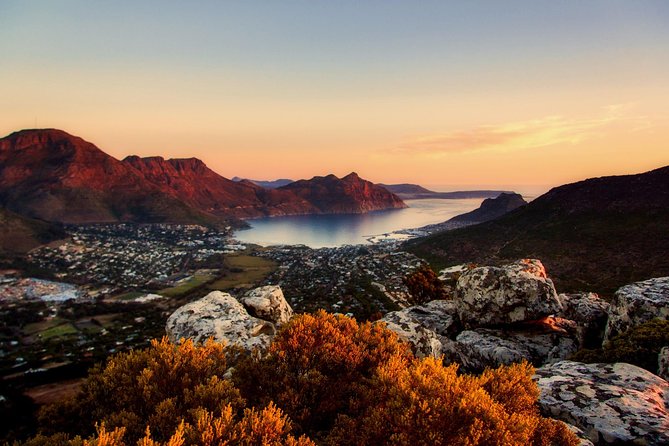 Full-Day Best of the Cape, Peninsula, Cape Point and Stellenbosch Tour - Boulders Beach and the penguin option