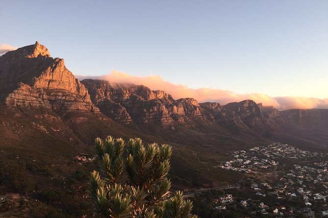Full-Day Best of the Cape, Peninsula, Cape Point and Stellenbosch Tour - A short look at old Stellenbosch