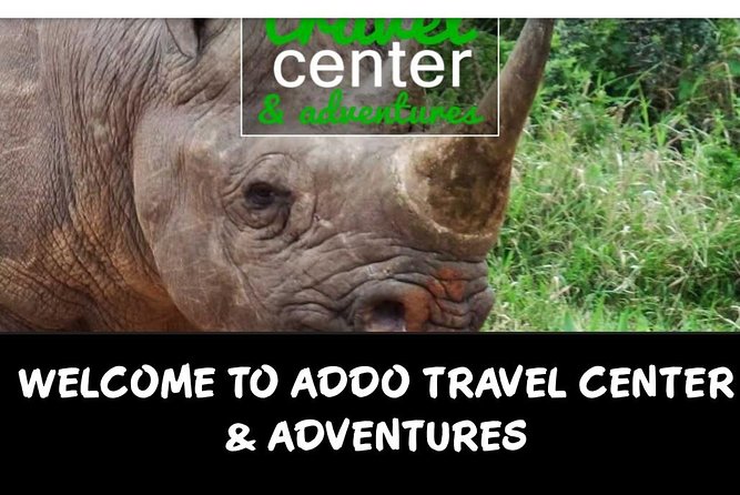 Full day big 5 addo Safari - An 8:00 am start from Port Elizabeth