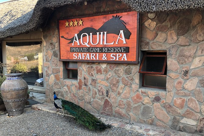 Full Day Big 5 Aquila Safari Private Transfers Including Park Fee From Cape Town - The 2 to 3-hour shared game drive