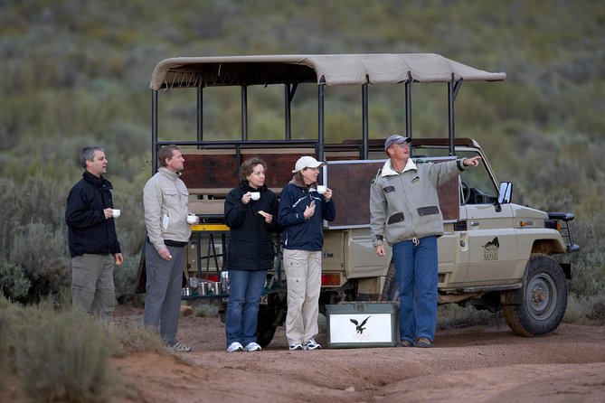 Full Day Big 5 Aquila Safari Private Transfers Including Park Fee From Cape Town - Fairview Wine and Cheese on the return