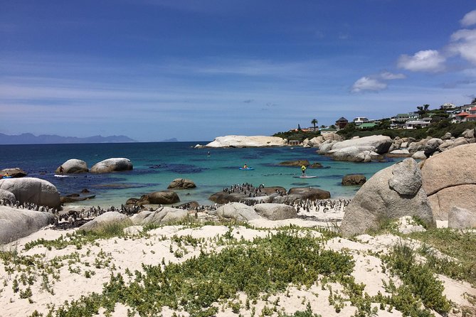 Full Day Cape Peninsula Motorcycle Tour on a Royal Enfield - Simon’s Town, Kalk Bay, and the value of flexibility