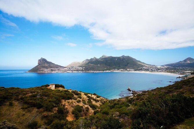 Full Day Cape Peninsula Tour - Key points to know before booking