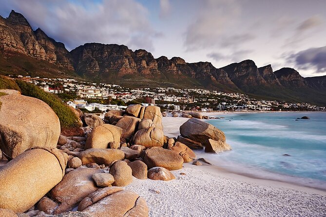 Full Day Cape Peninsula Tour - Is $164.60 good value?