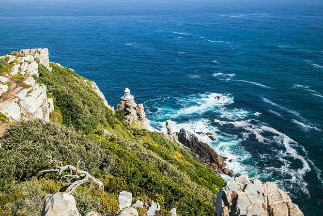 Full-Day Cape Peninsula Tour from Cape Town - Cape Point Nature Reserve for 90 minutes
