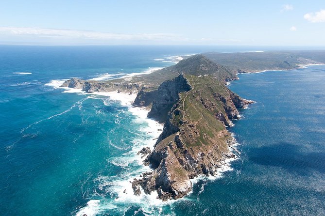 Full-Day Cape Peninsula Tour from Cape Town - The guide, group size, and pace
