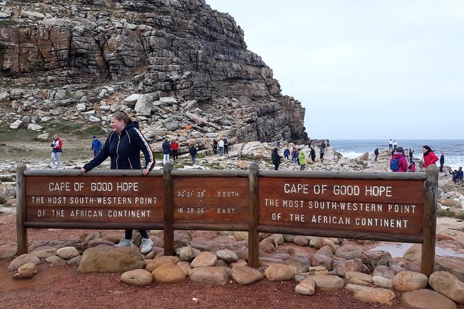 Full Day Cape Peninsula Tour in Private Car - Boulders Beach and the African penguins