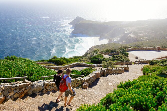 Full Day Cape Peninsula Tour - Hout Bay gives you two different ways to spend your time